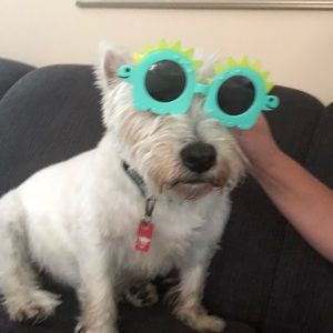 Meet your Posher, Jill